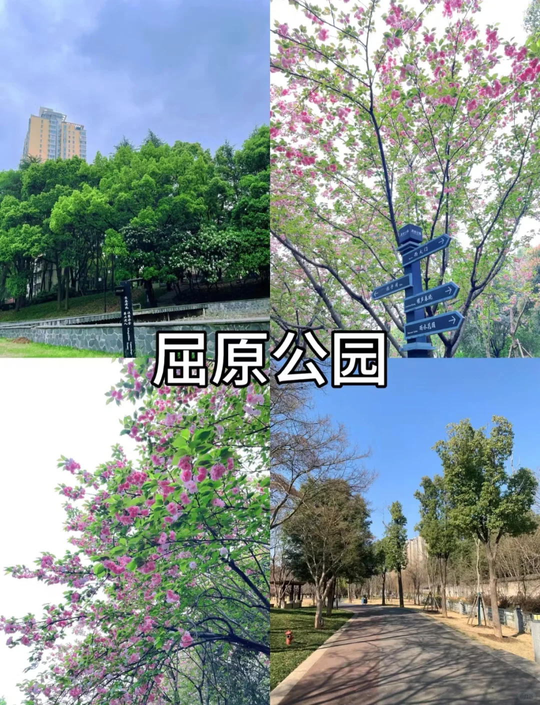 常德旅游攻略