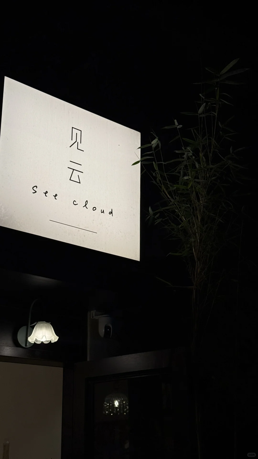 常德/好治愈的氛围感！我的一人食好去处～