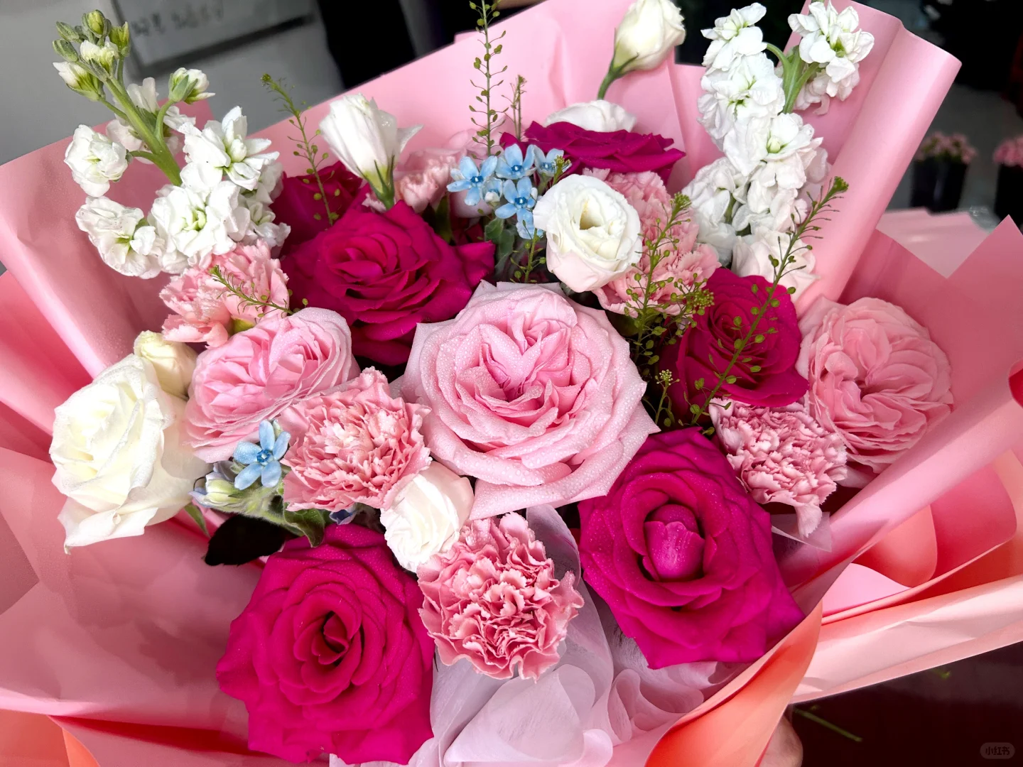 德国人来常德见家长了