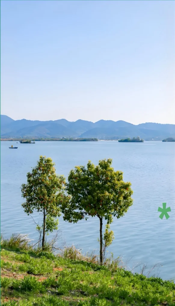 城市环抱的水上天堂