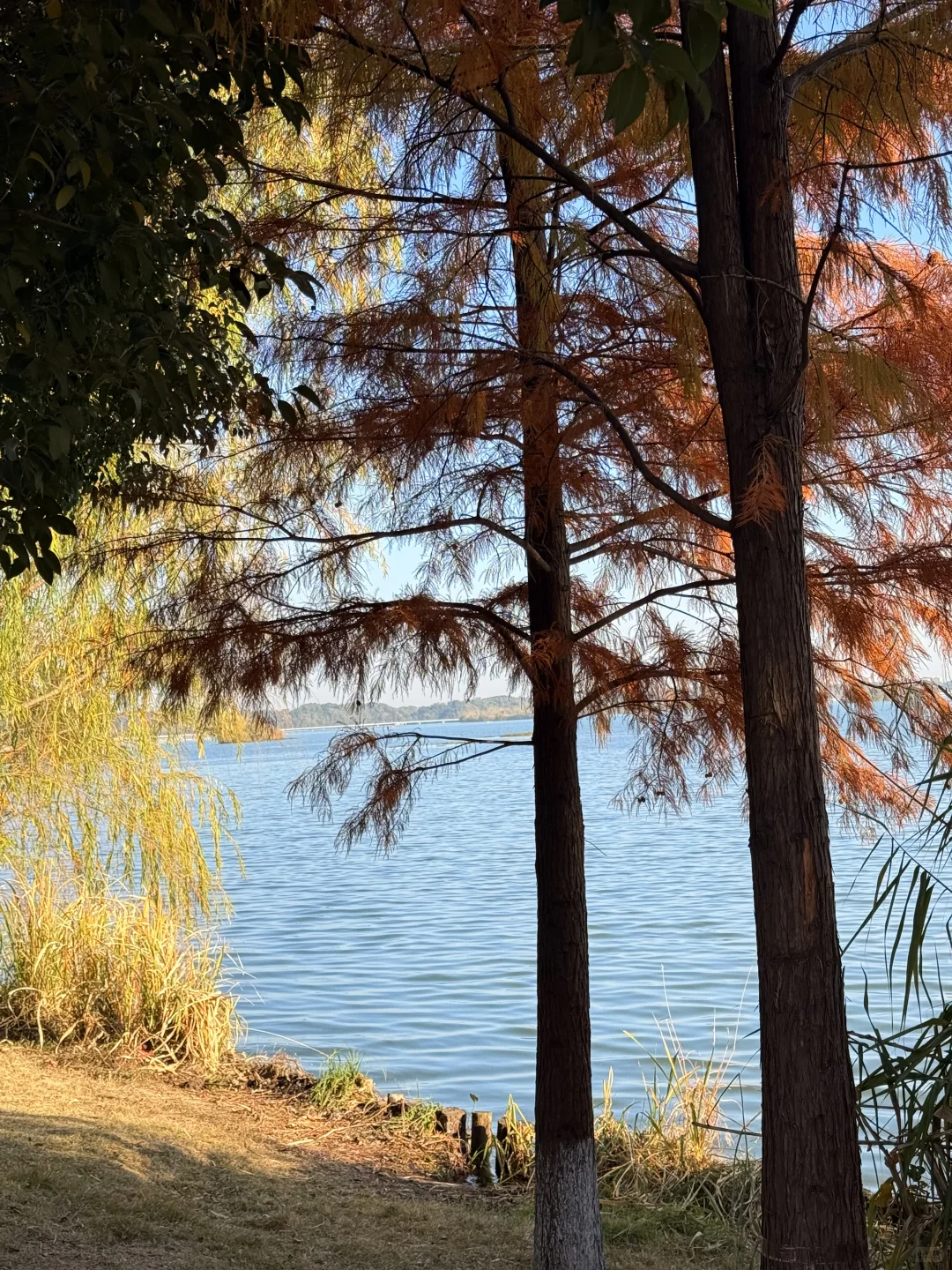 常德小洱海🍂🍂