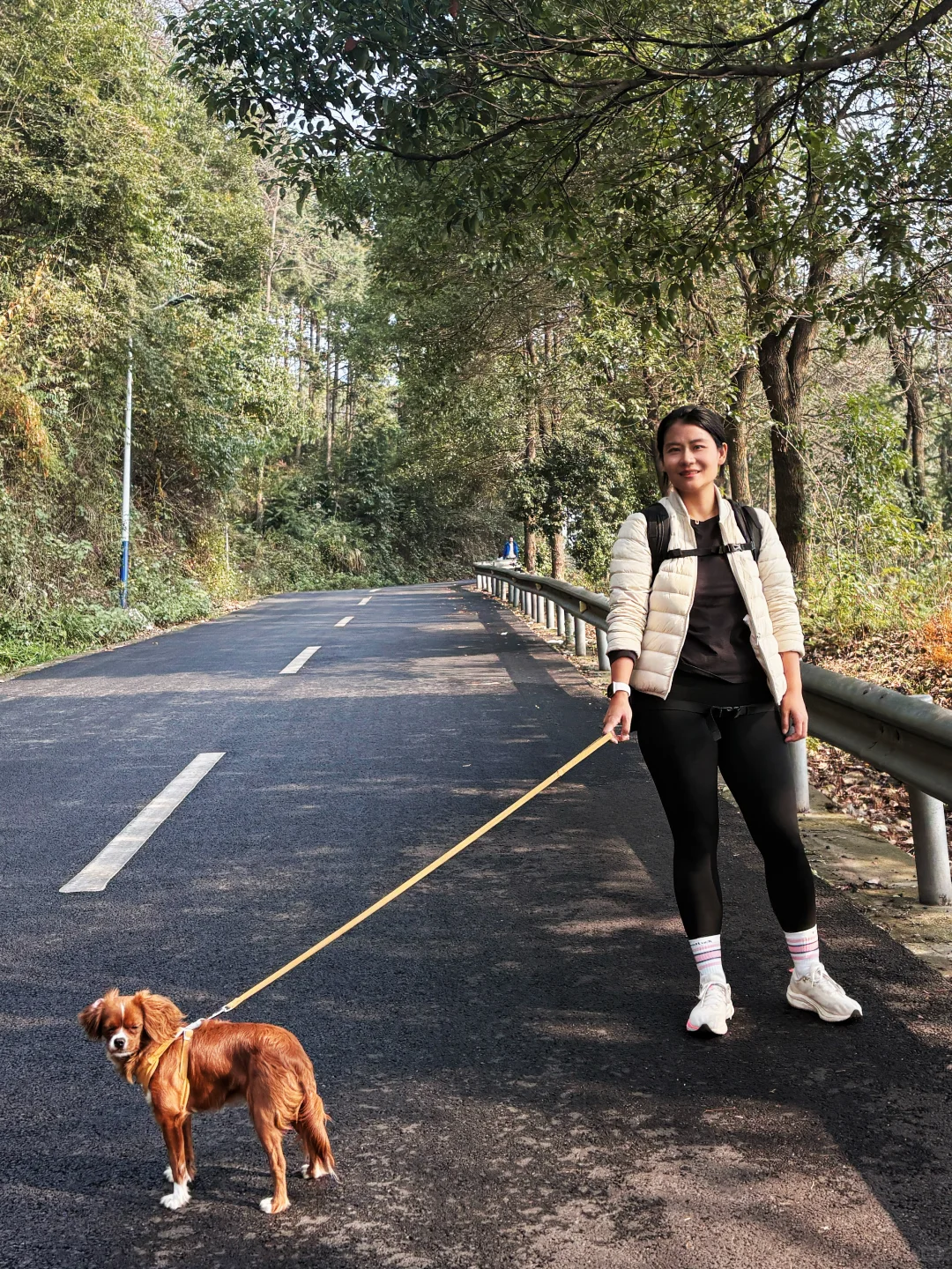 常德太阳山，带毛孩子亲近大自然