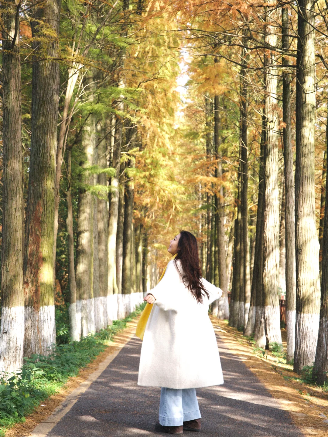 常德不只桃花源‼️4天3晚深度游攻略👀