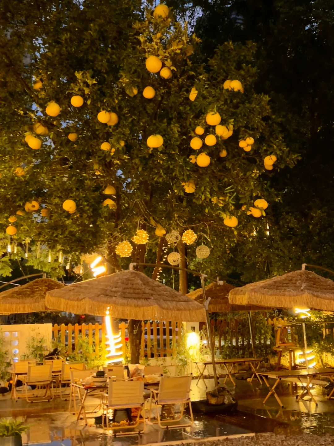 💽 常德杰迷必冲！二刷「七里香」湘菜馆