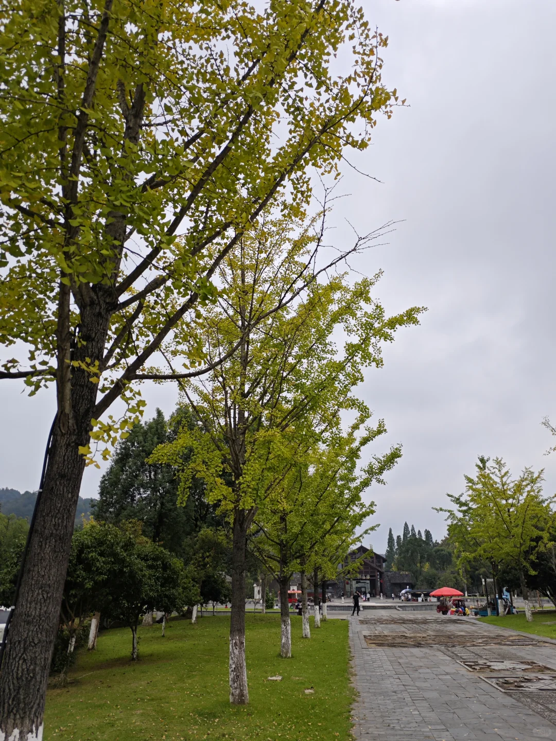 湖南常德桃花源