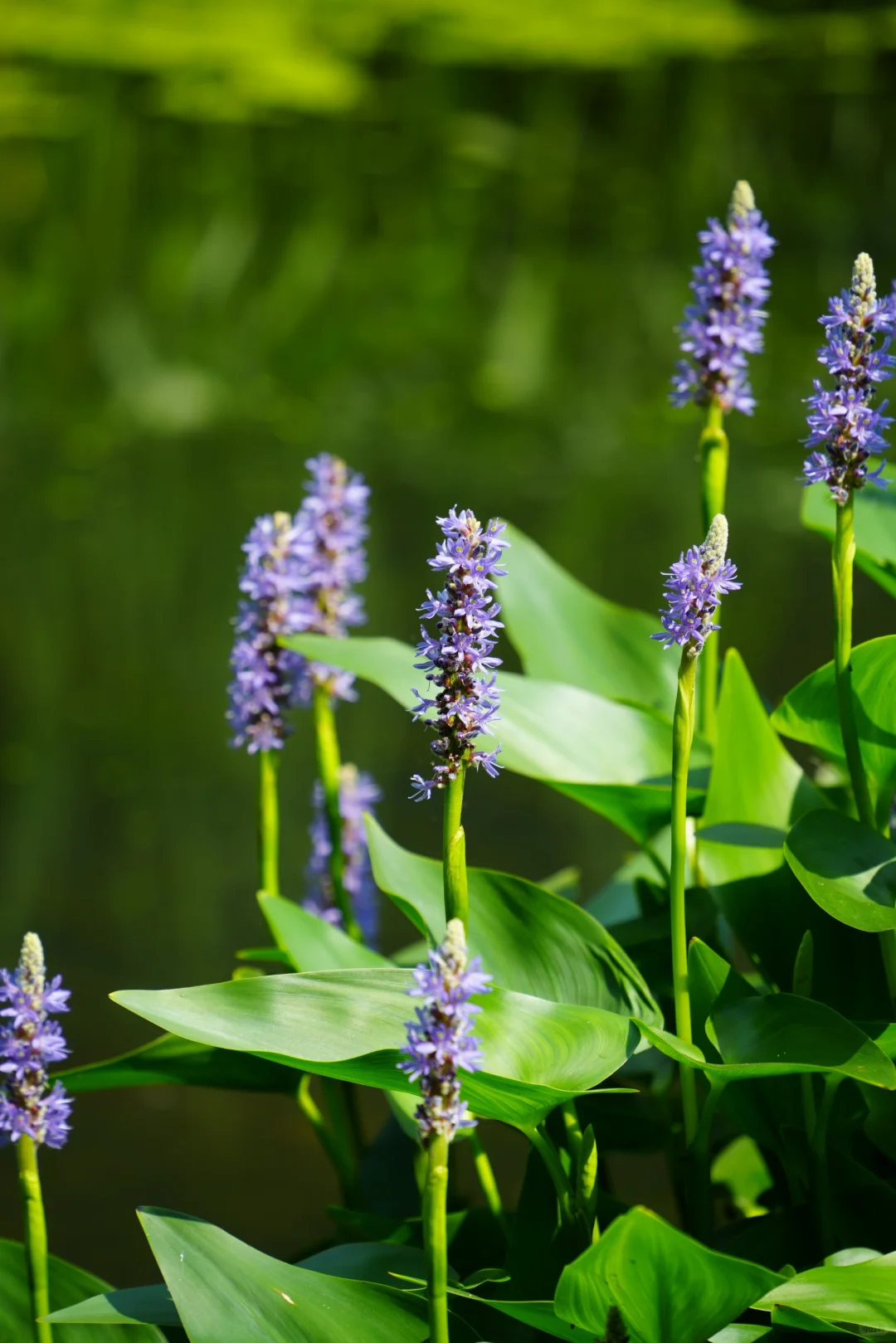 常德桃花源——隐世秘境