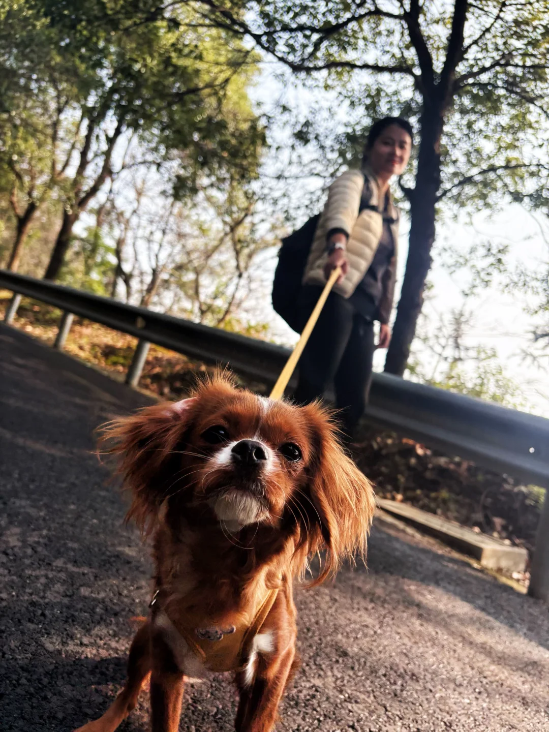 常德太阳山，带毛孩子亲近大自然