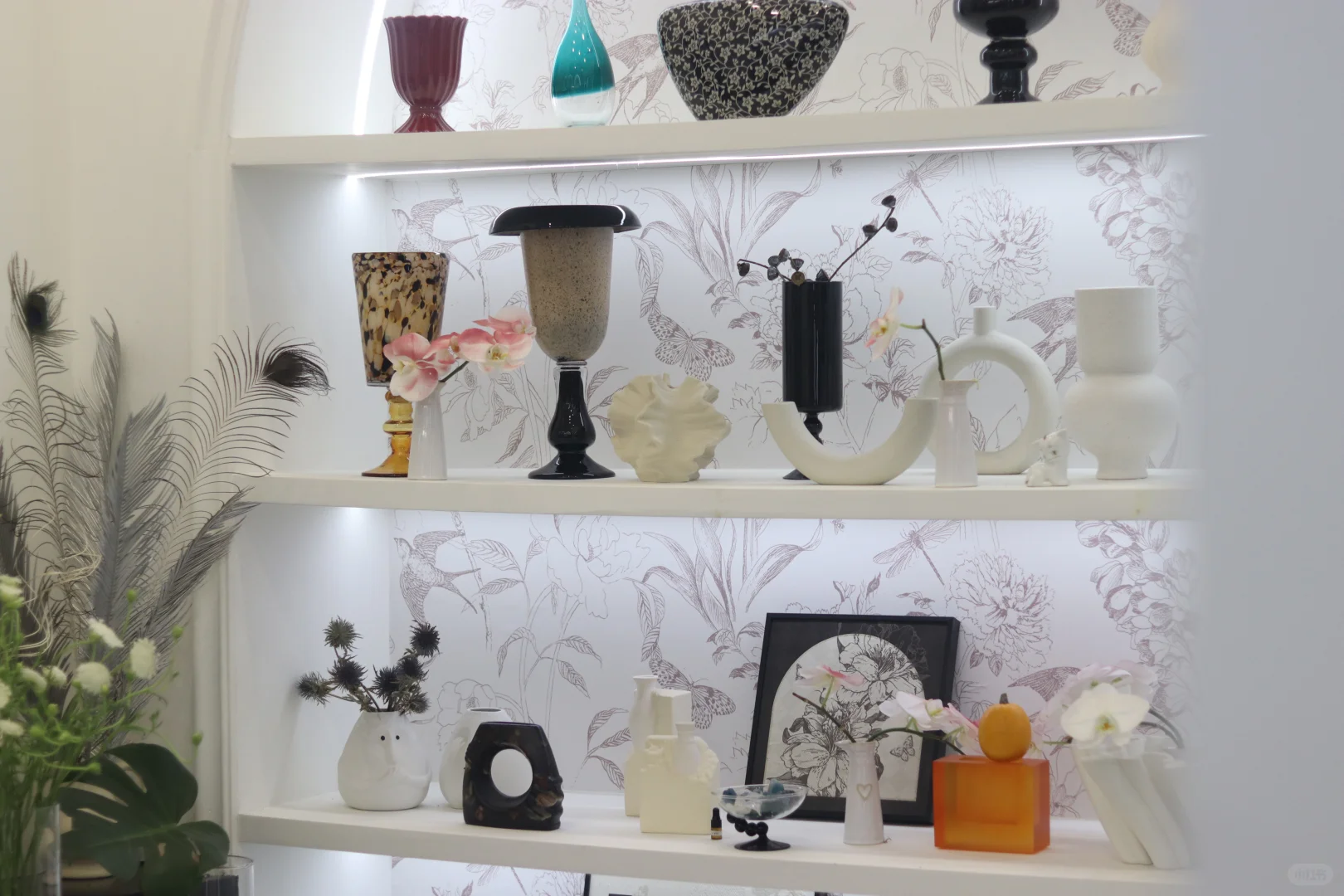 常德最美法式花店｜全店转让，开启你的浪漫事