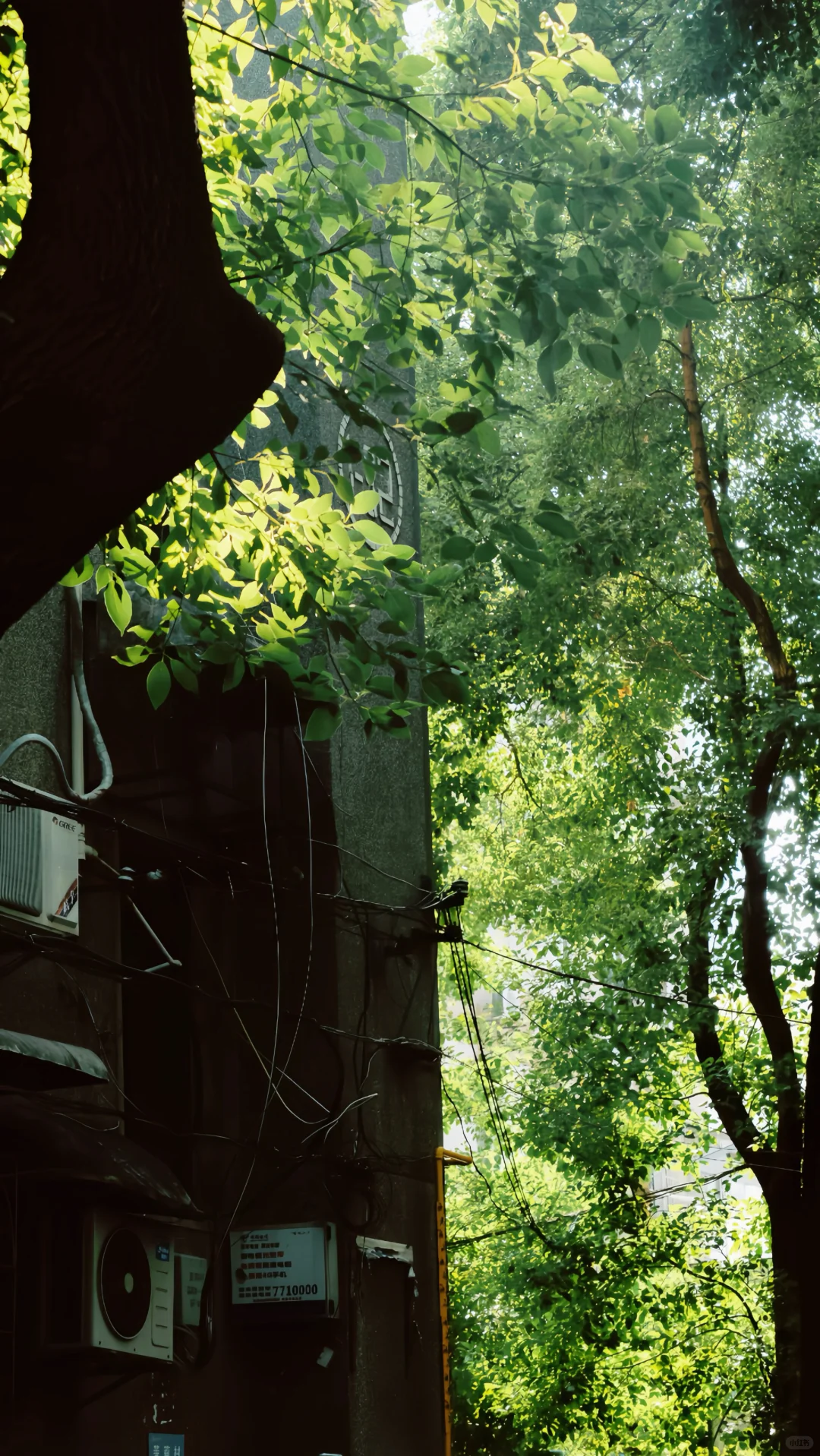 常德📍建议喜欢复古感的姐妹，都来这里拍照