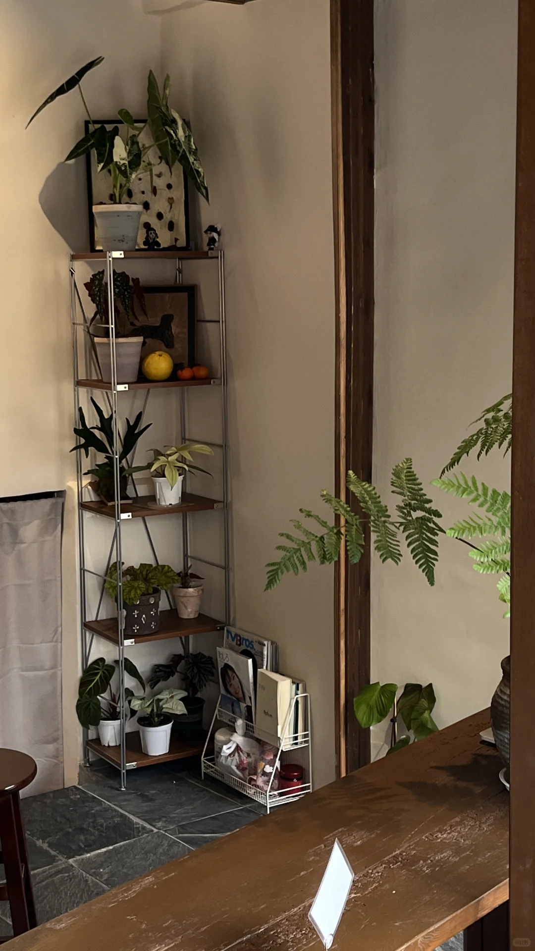 常德开在烟火气里的宝藏店铺