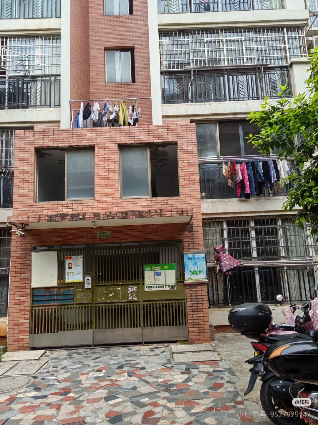 常德武陵区 好房出租