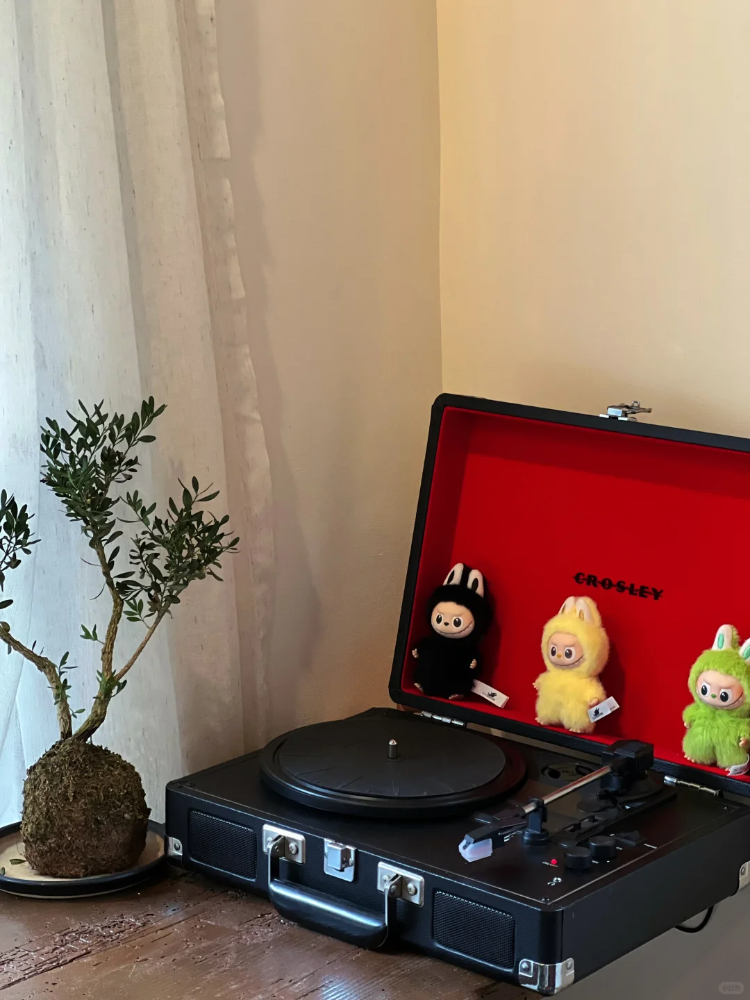 常德开在烟火气里的宝藏店铺