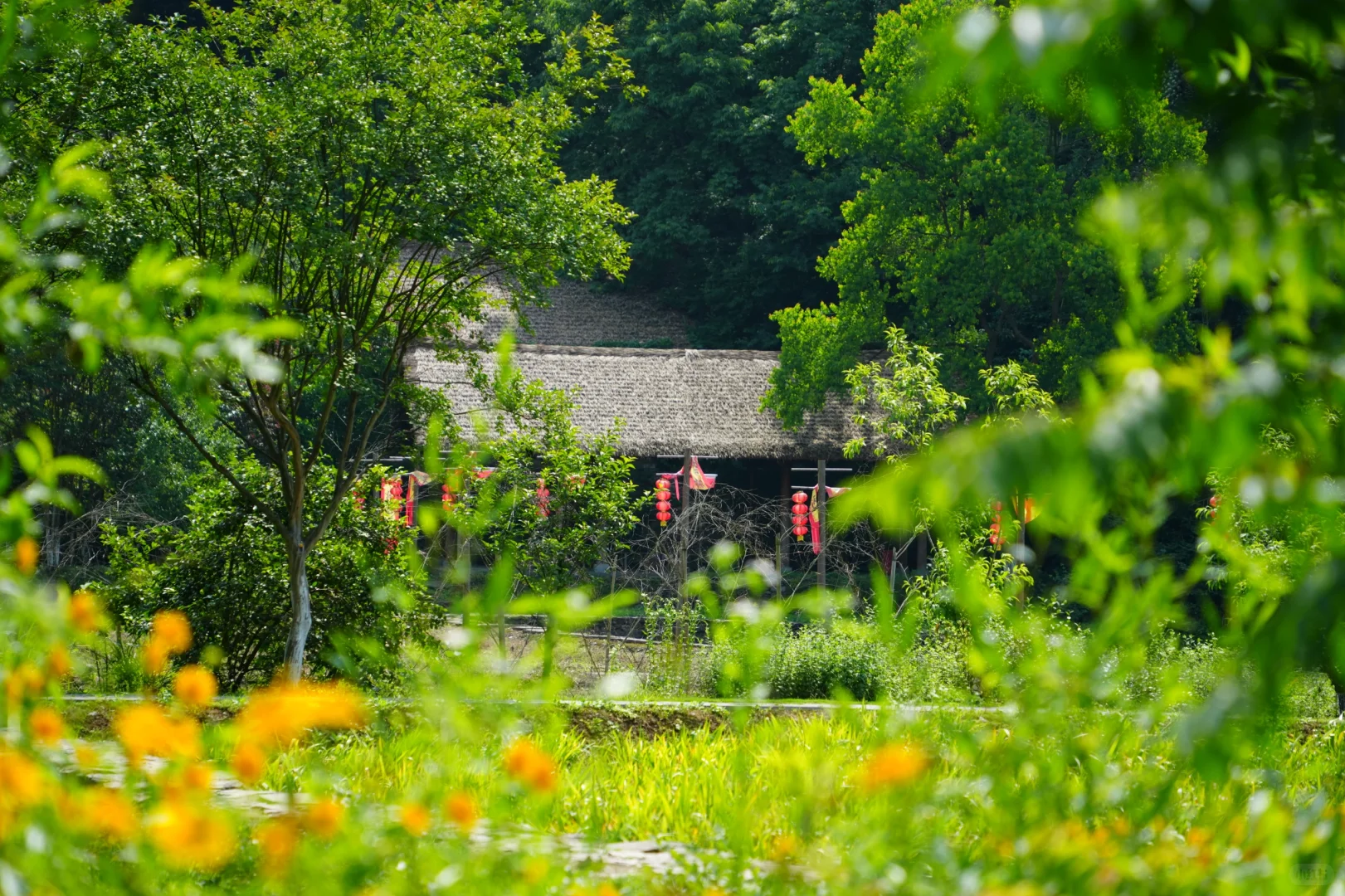 常德桃花源——隐世秘境