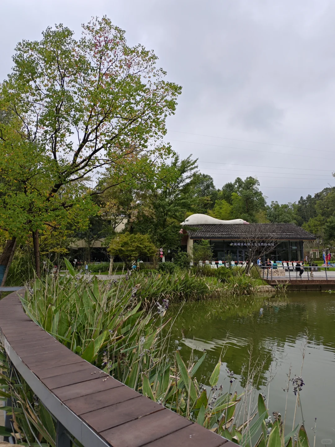 湖南常德桃花源