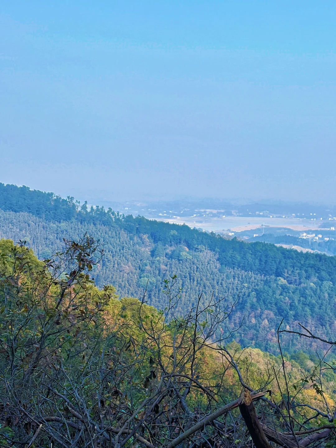 常德太阳山，带毛孩子亲近大自然