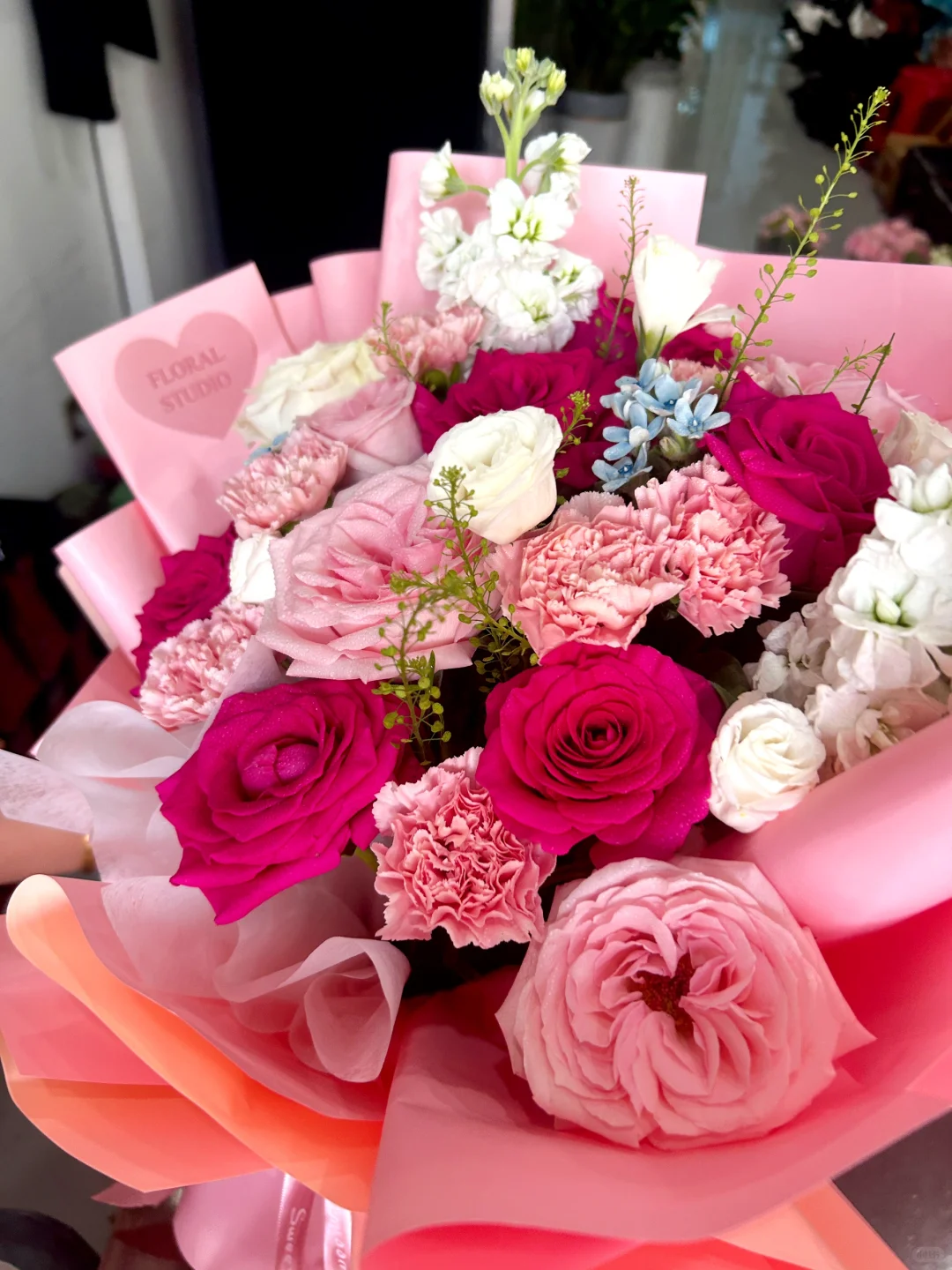 德国人来常德见家长了