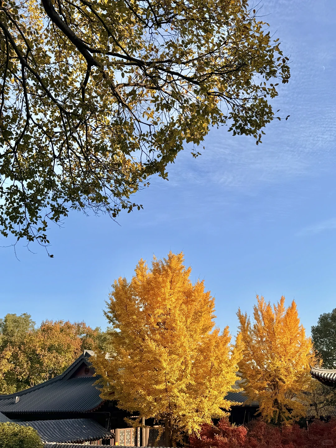 在常德的慢时光🍂