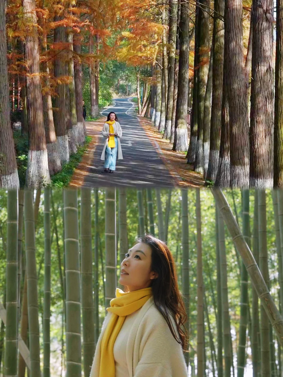 常德不只桃花源‼️4天3晚深度游攻略👀