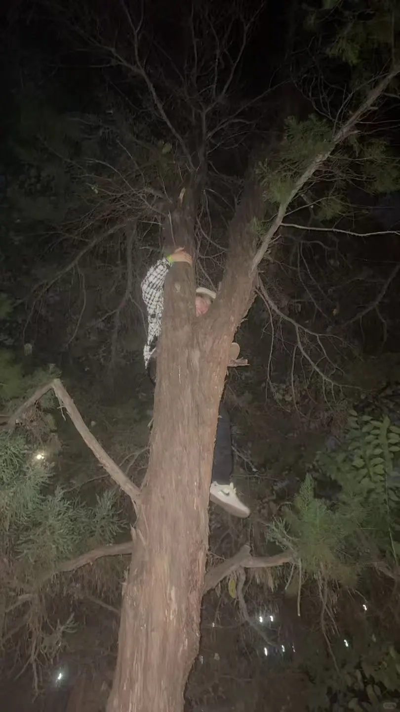 常德| 80人滨湖公园一起玩猫抓老鼠！