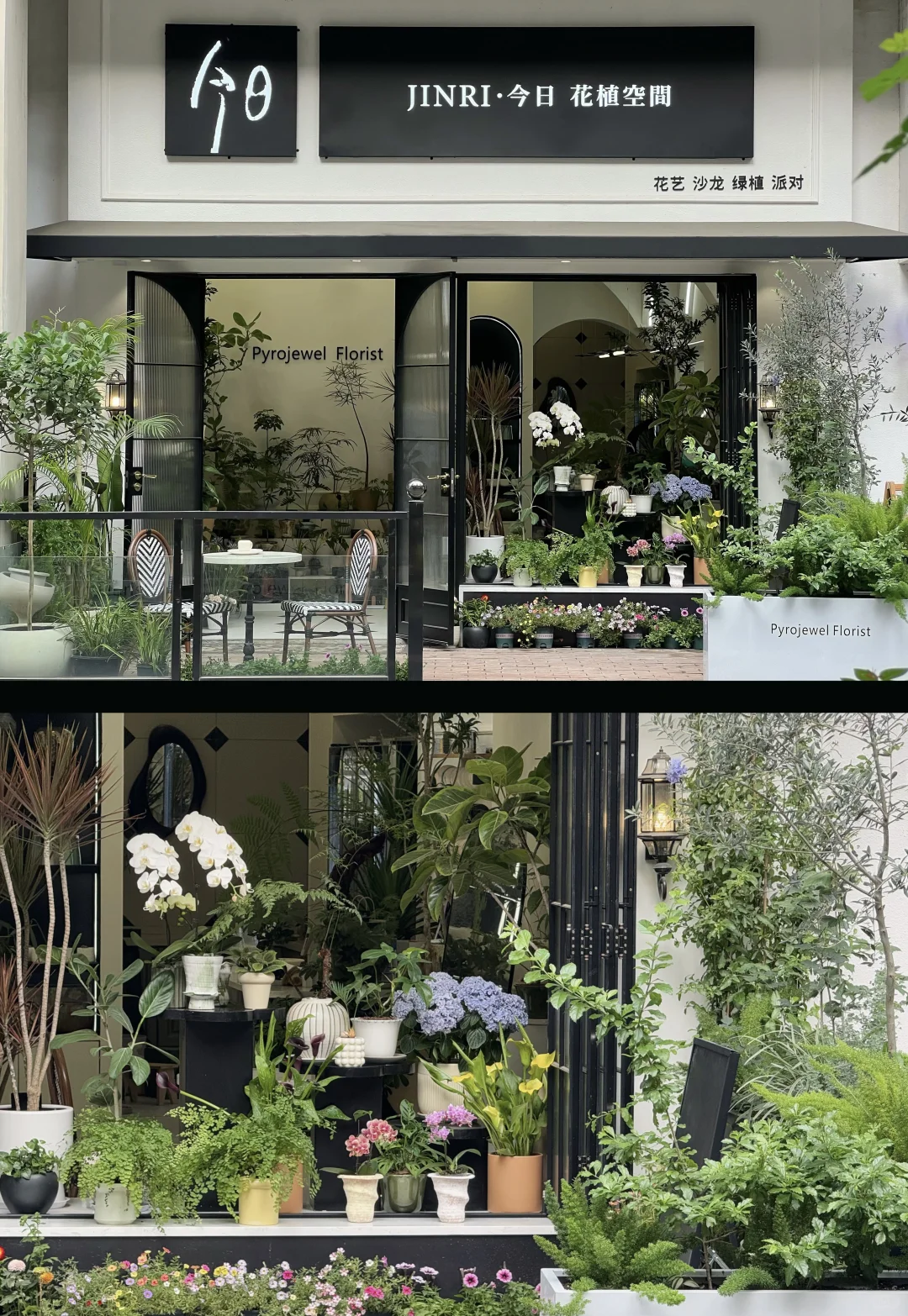 常德最美法式花店｜全店转让，开启你的浪漫事