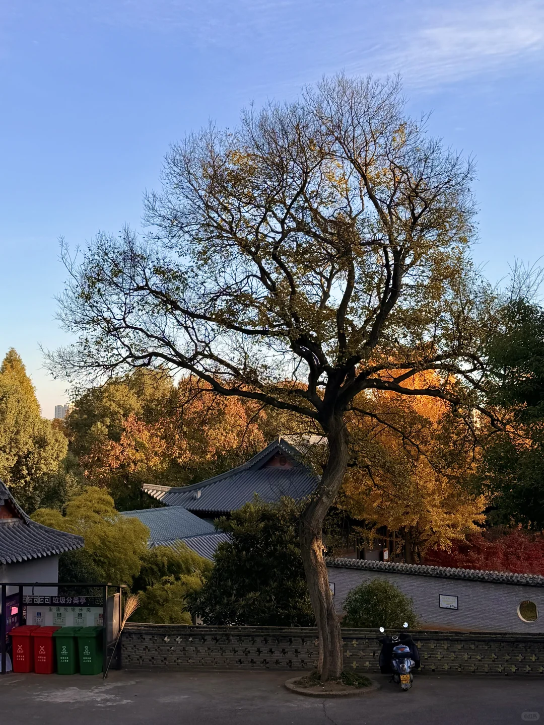 在常德的慢时光🍂