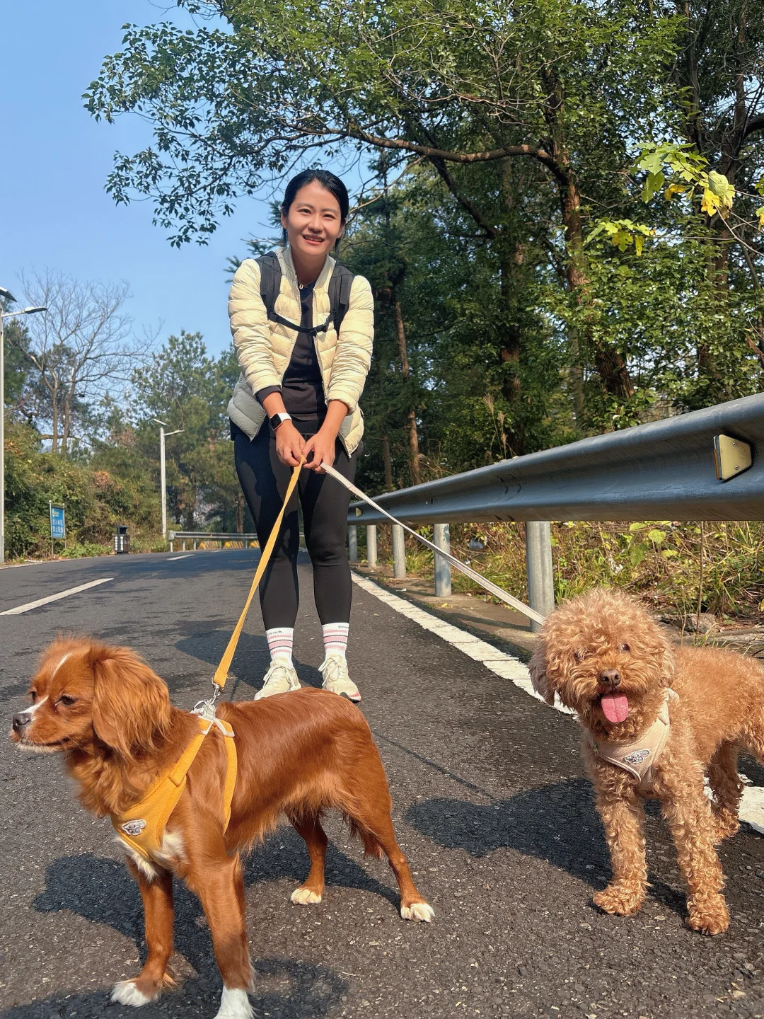 常德太阳山，带毛孩子亲近大自然