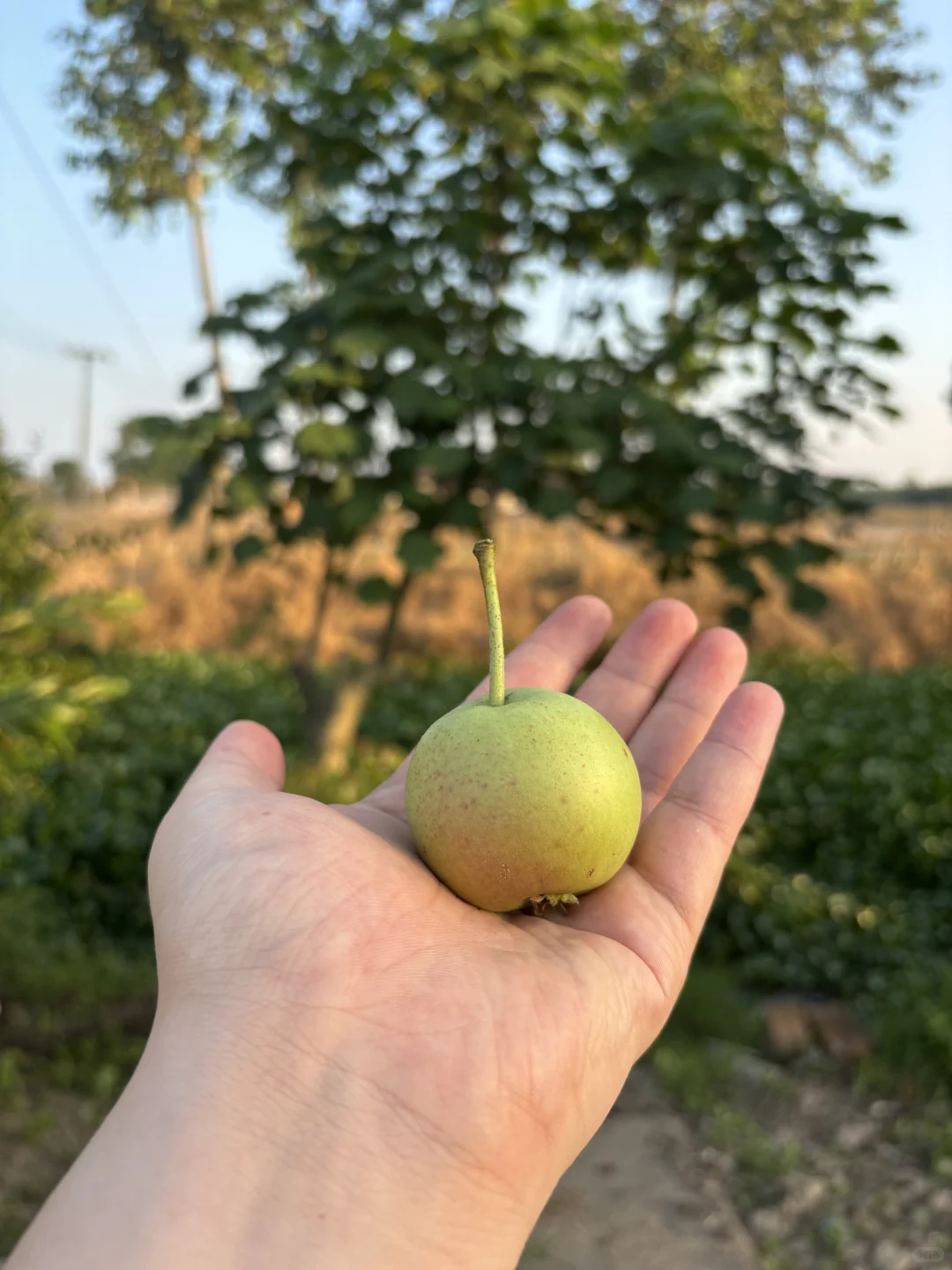 30岁，一个人独处，在常德认真生活