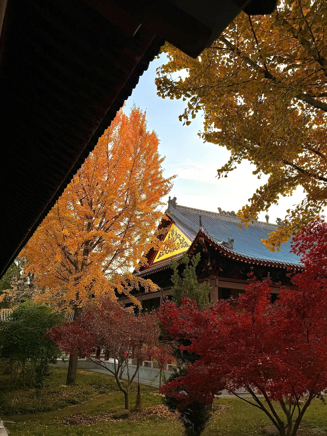 在常德的慢时光🍂