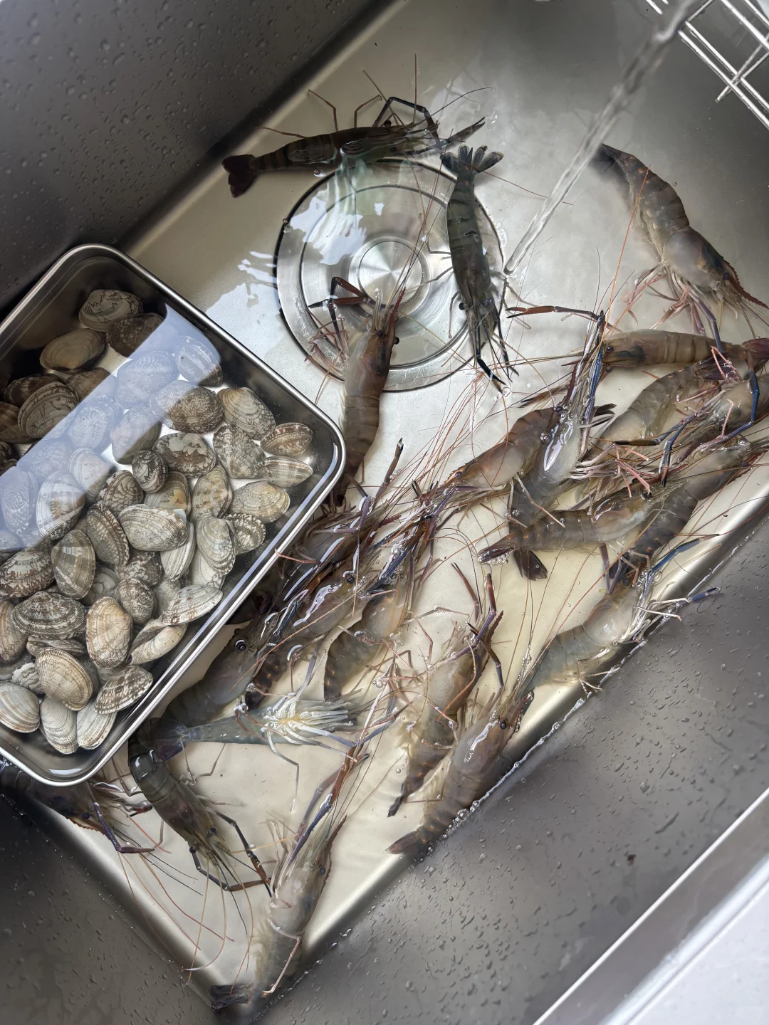 30岁，一个人独处，在常德认真生活