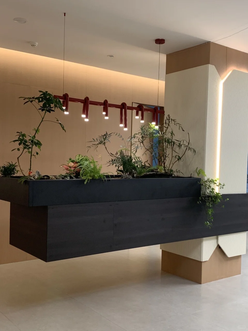 在常德花钱最值的一次！！！