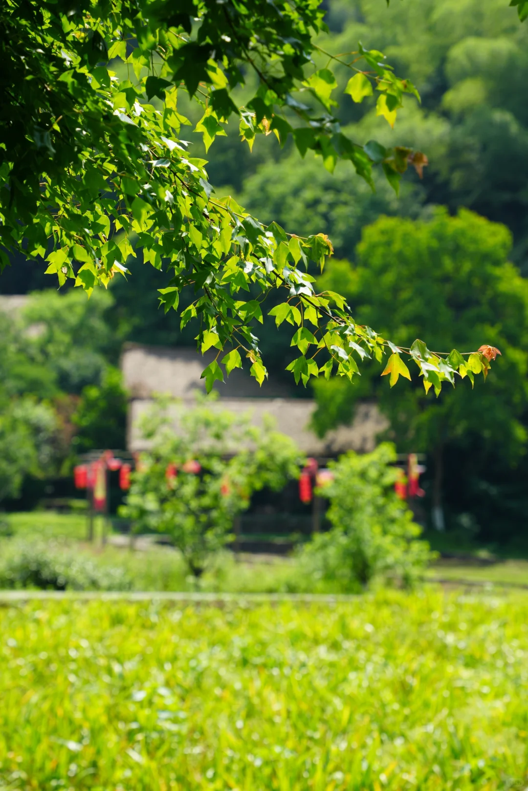 常德桃花源——隐世秘境