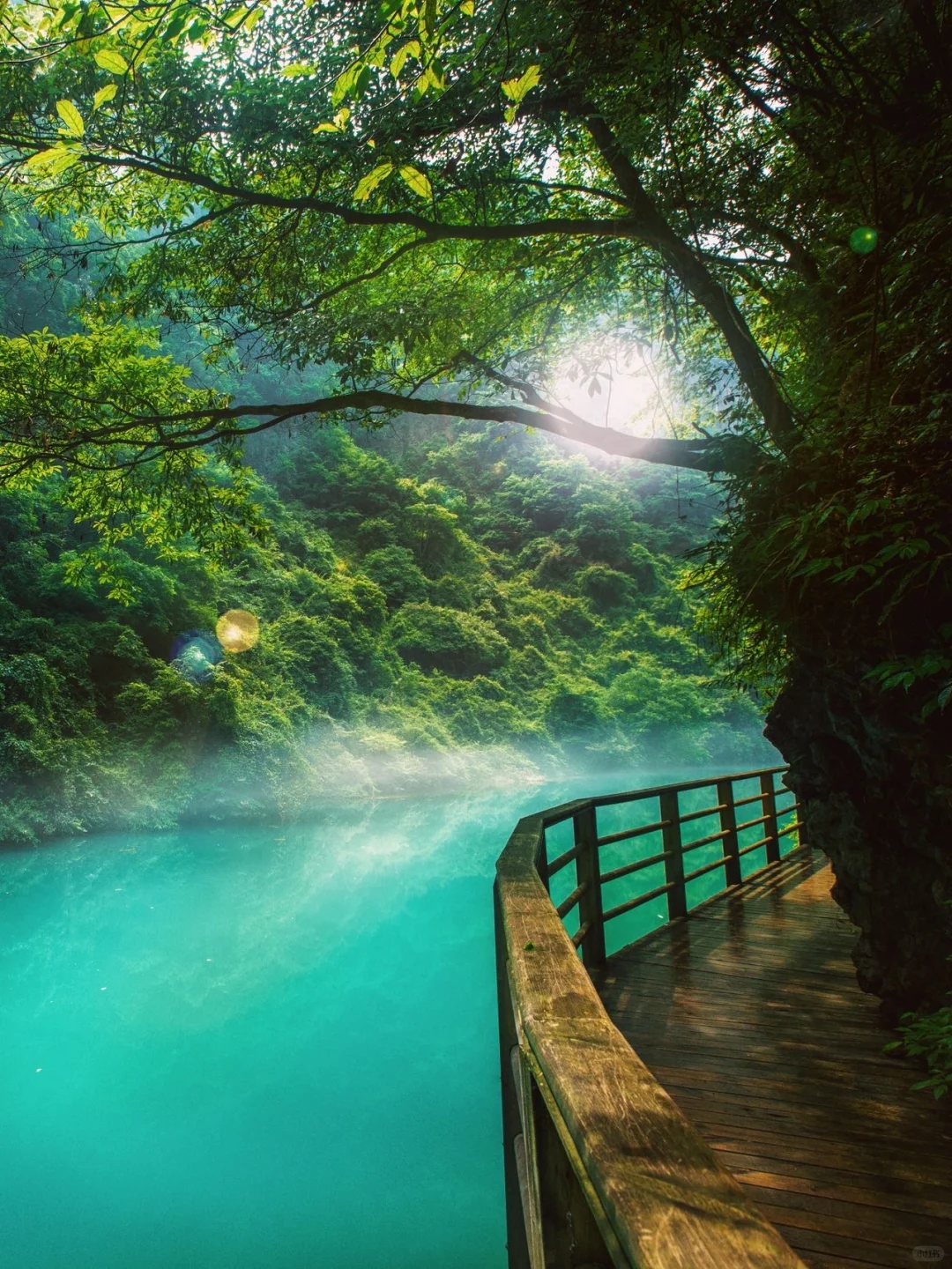 张家界刚回，能劝一个是一个❗坚决不删❗😂