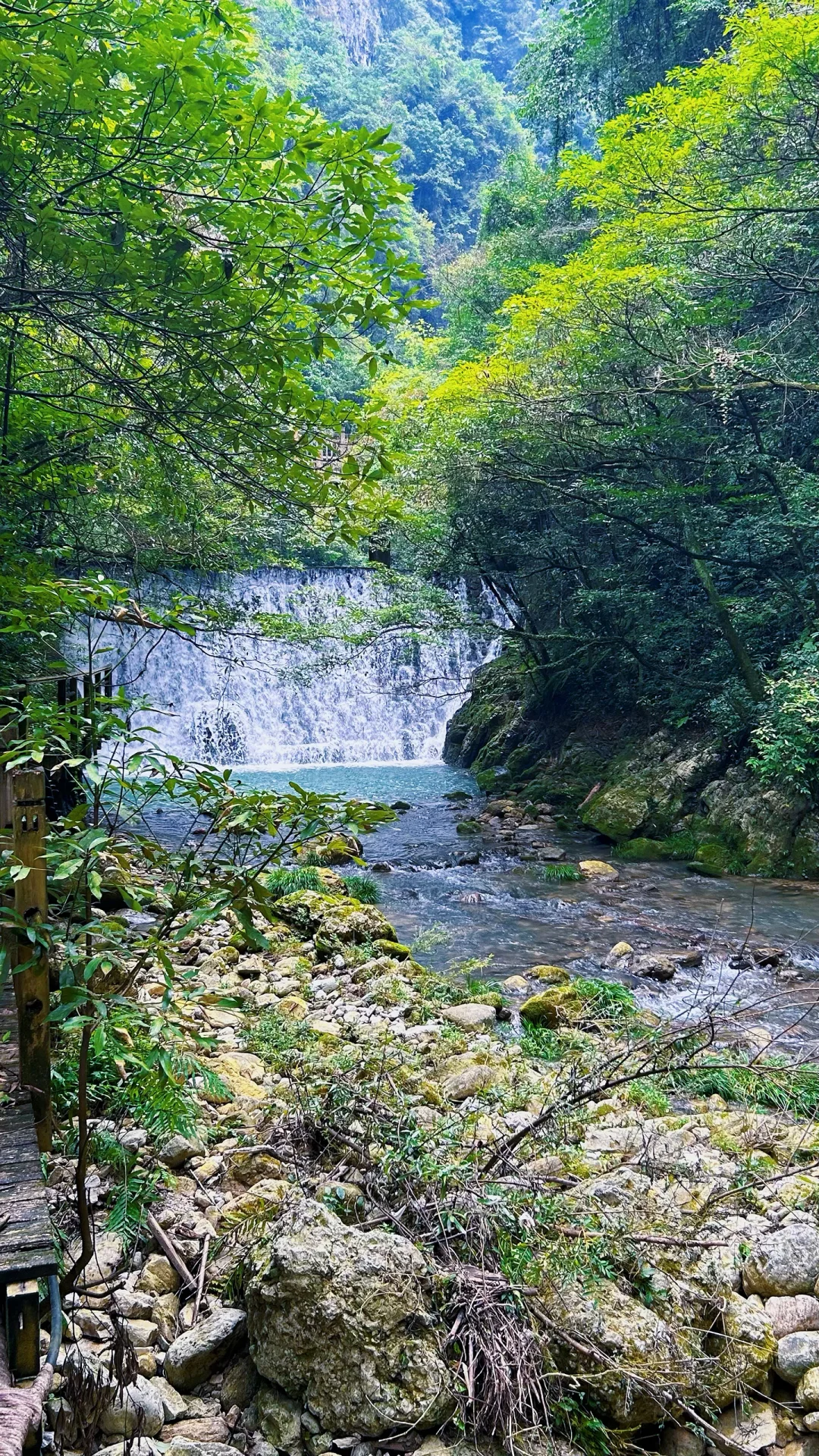 📍𝐙𝐡𝐚𝐧𝐠 𝐉𝐢𝐚 𝐉𝐢𝐞 · 大峡谷