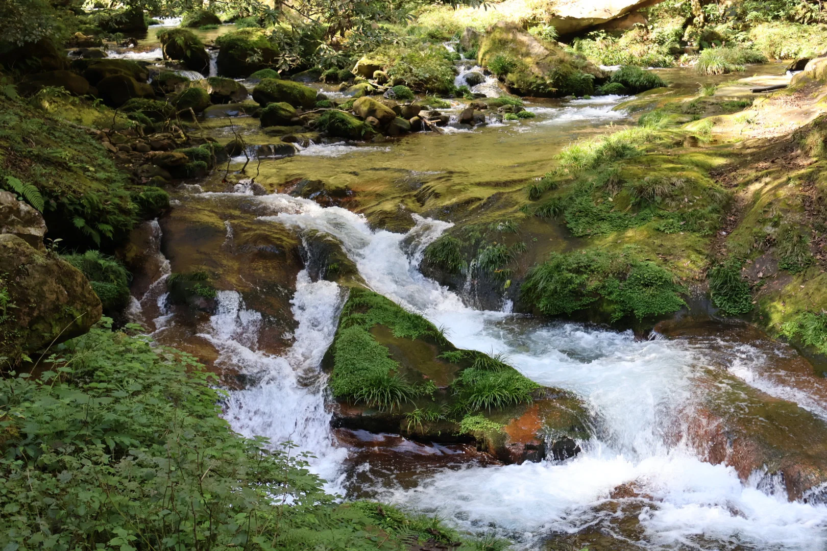 张家界国家森林公园游玩攻略