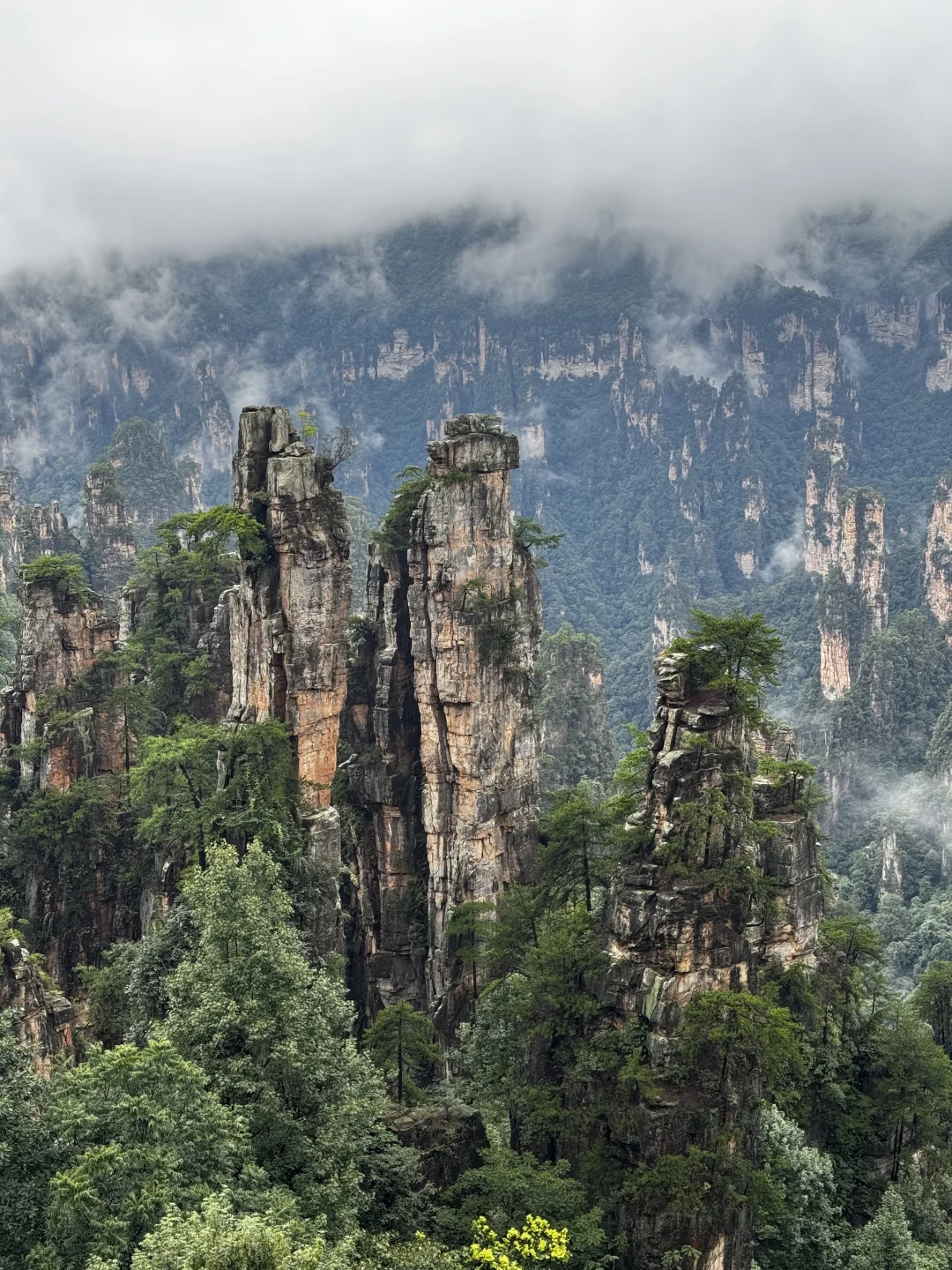 仙境之阿凡达故里