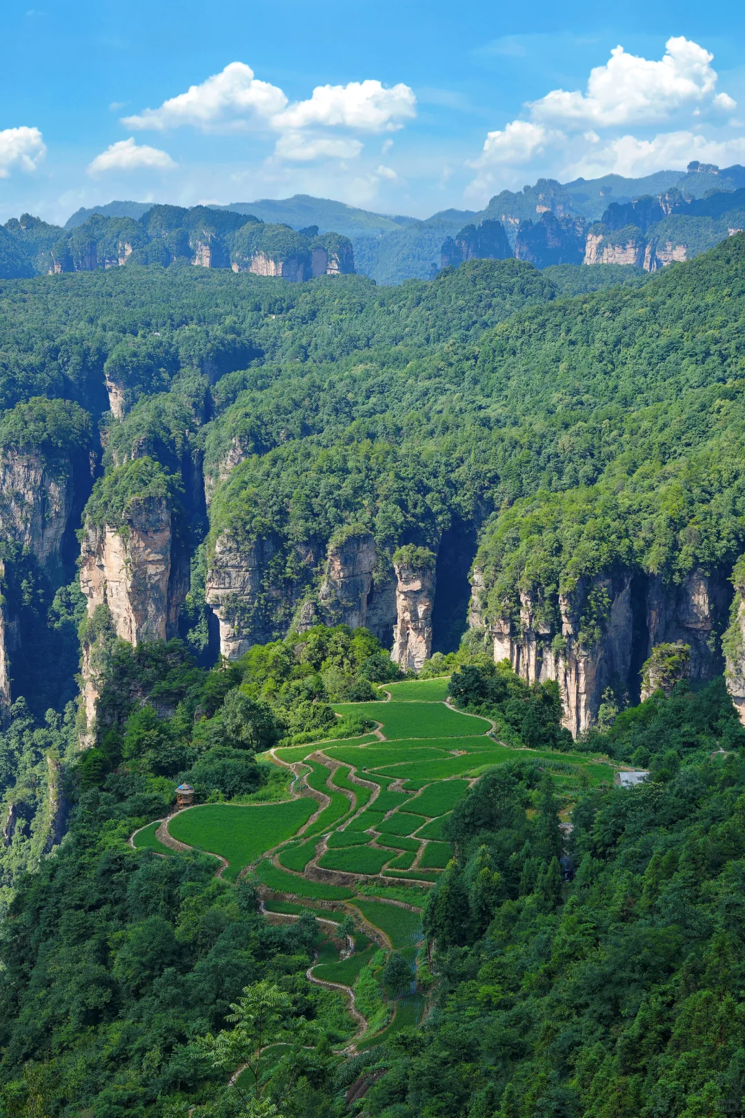 张家界刚回，再也不听小红书乱说了😭