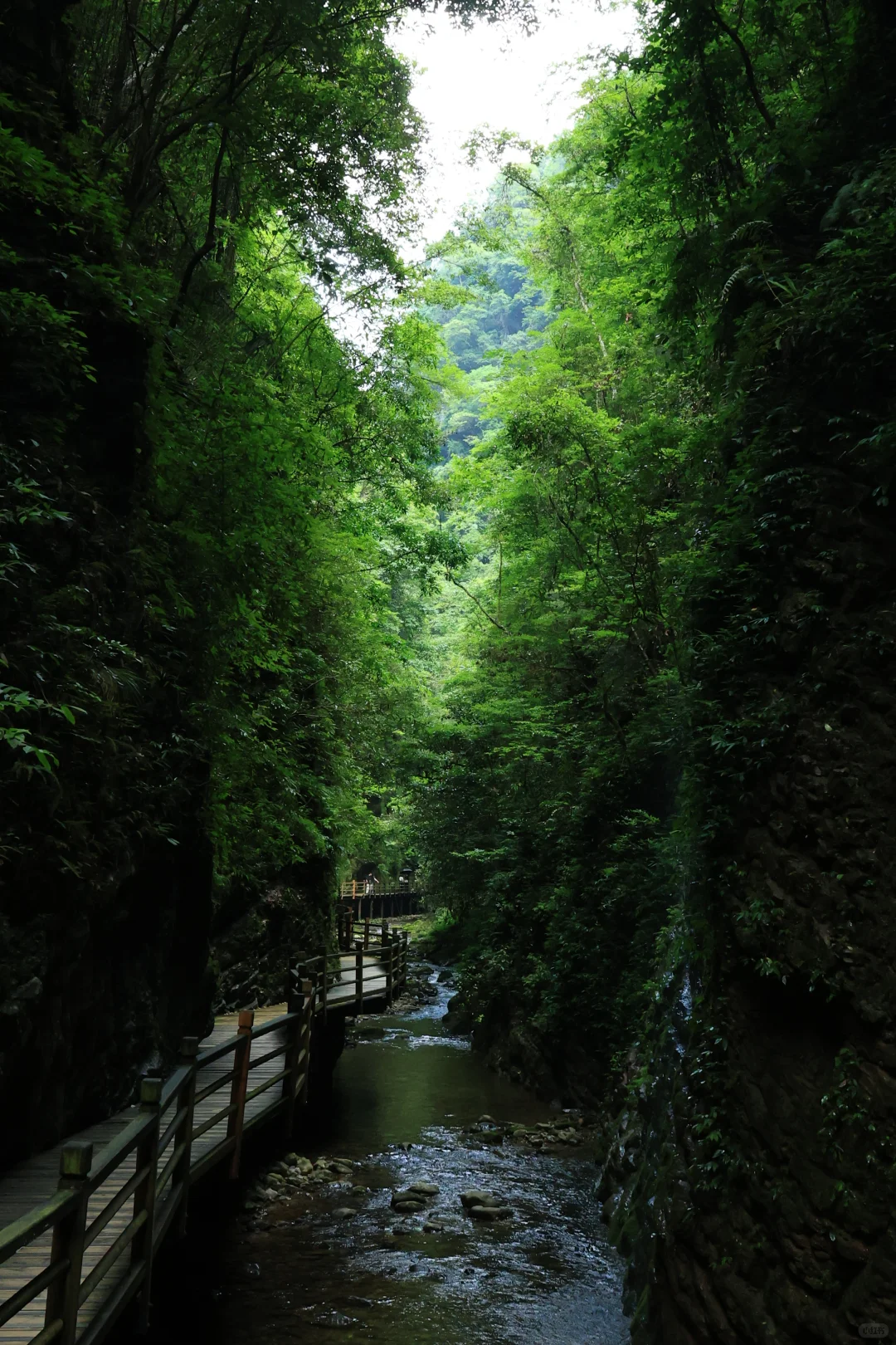 张家界很好，下次不来了！