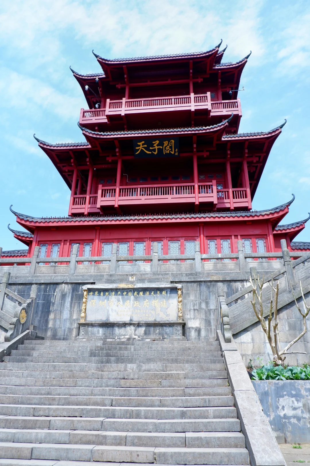 闯入阿凡达的潘多拉星球⛰️