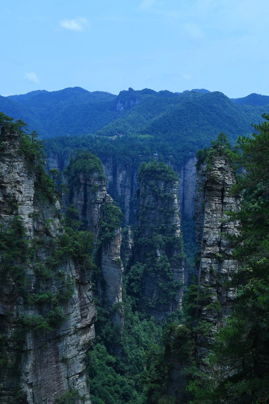 张家界很好，下次不来了！