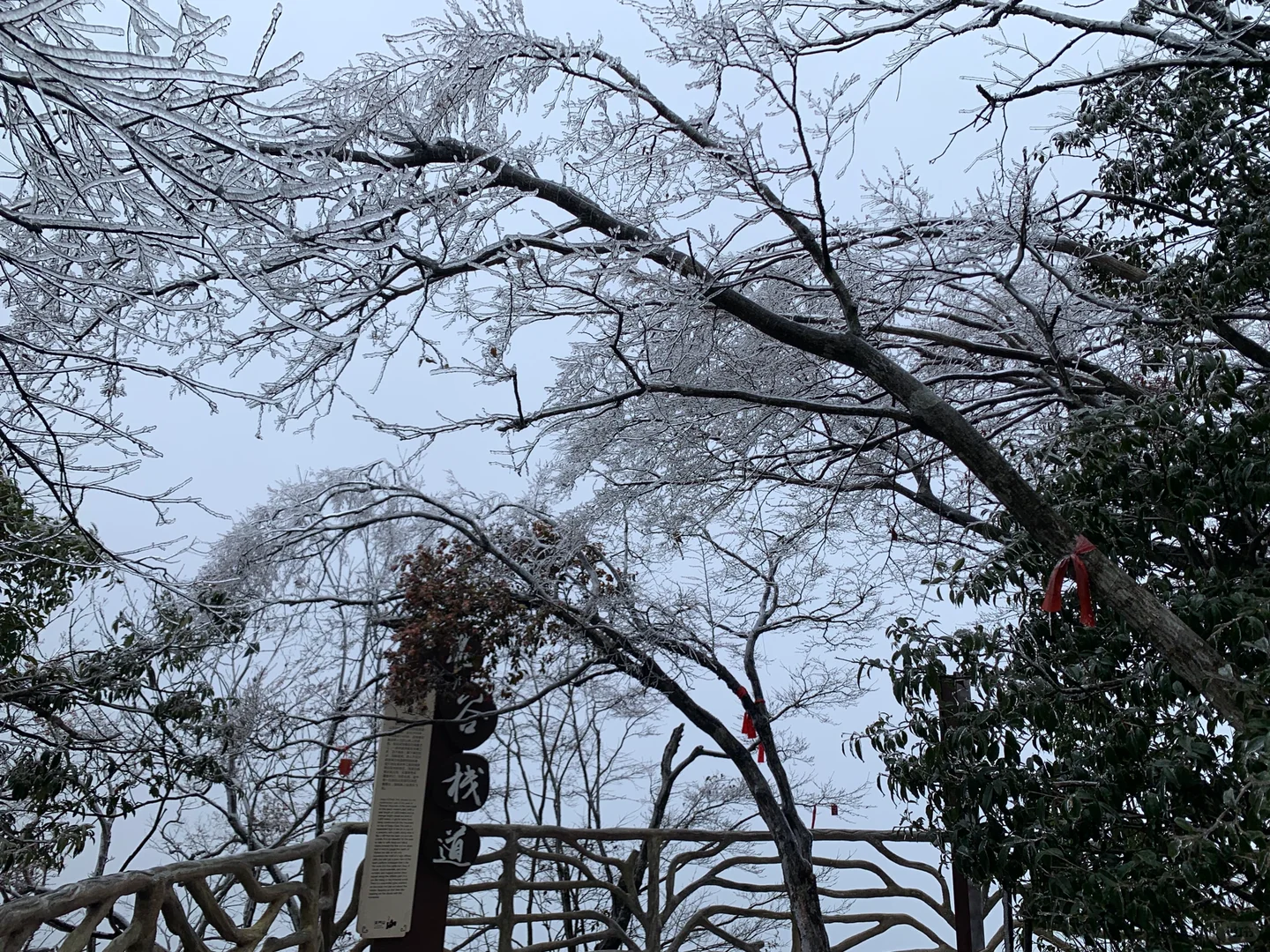 来张家界如何游玩？！