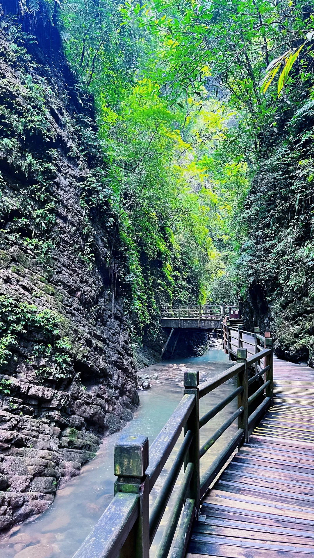 📍𝐙𝐡𝐚𝐧𝐠 𝐉𝐢𝐚 𝐉𝐢𝐞 · 大峡谷