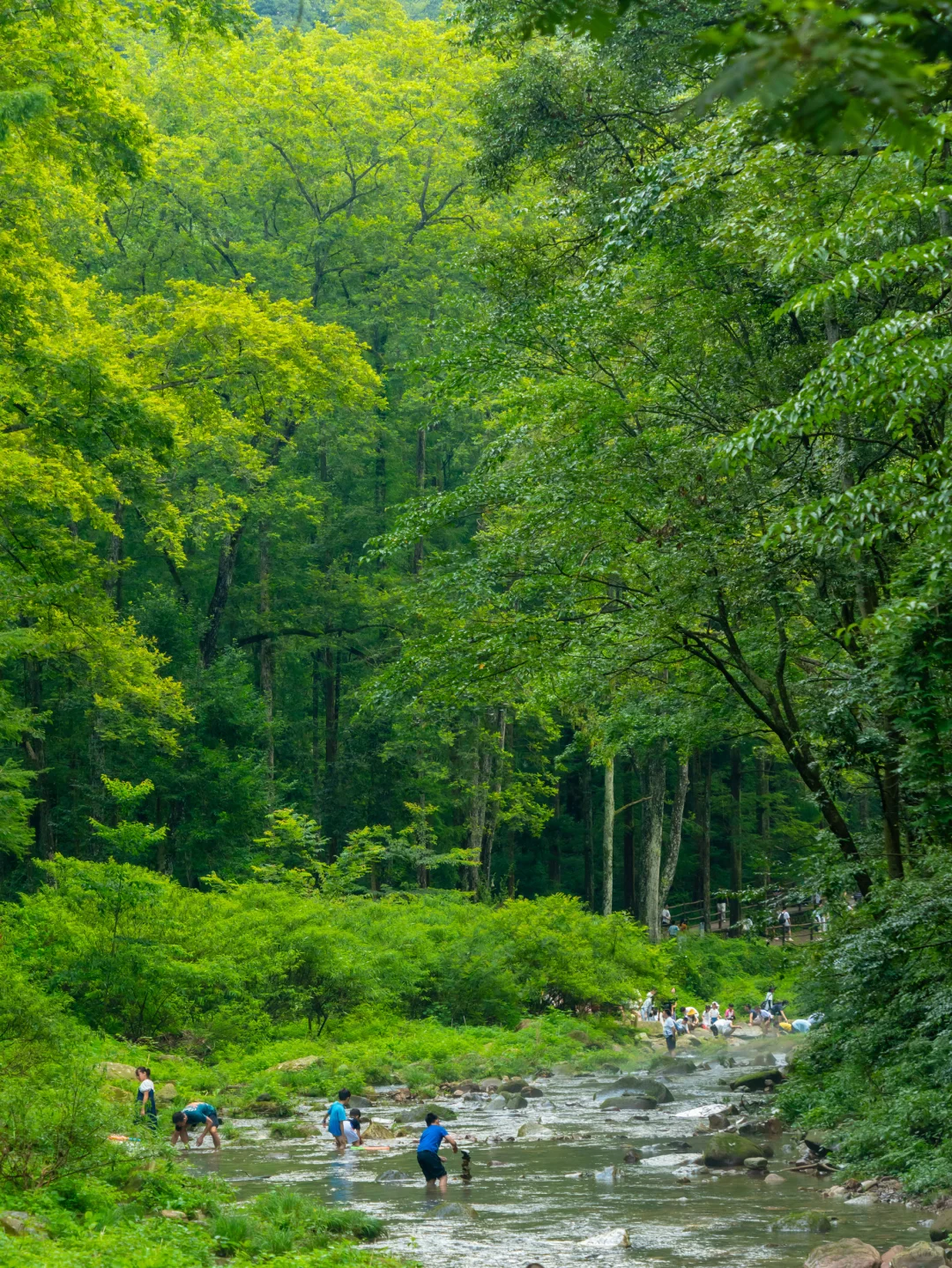 不愧是《国家地理》评为此生必去，真的绝‼️
