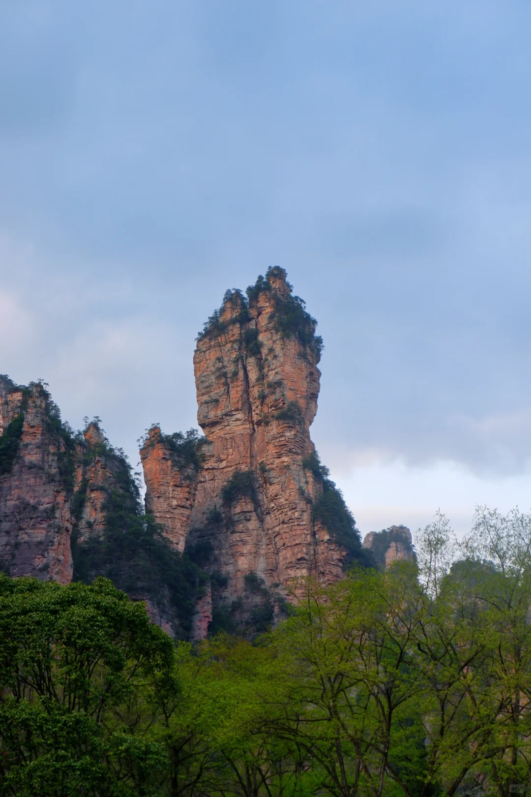 闯入阿凡达的潘多拉星球⛰️