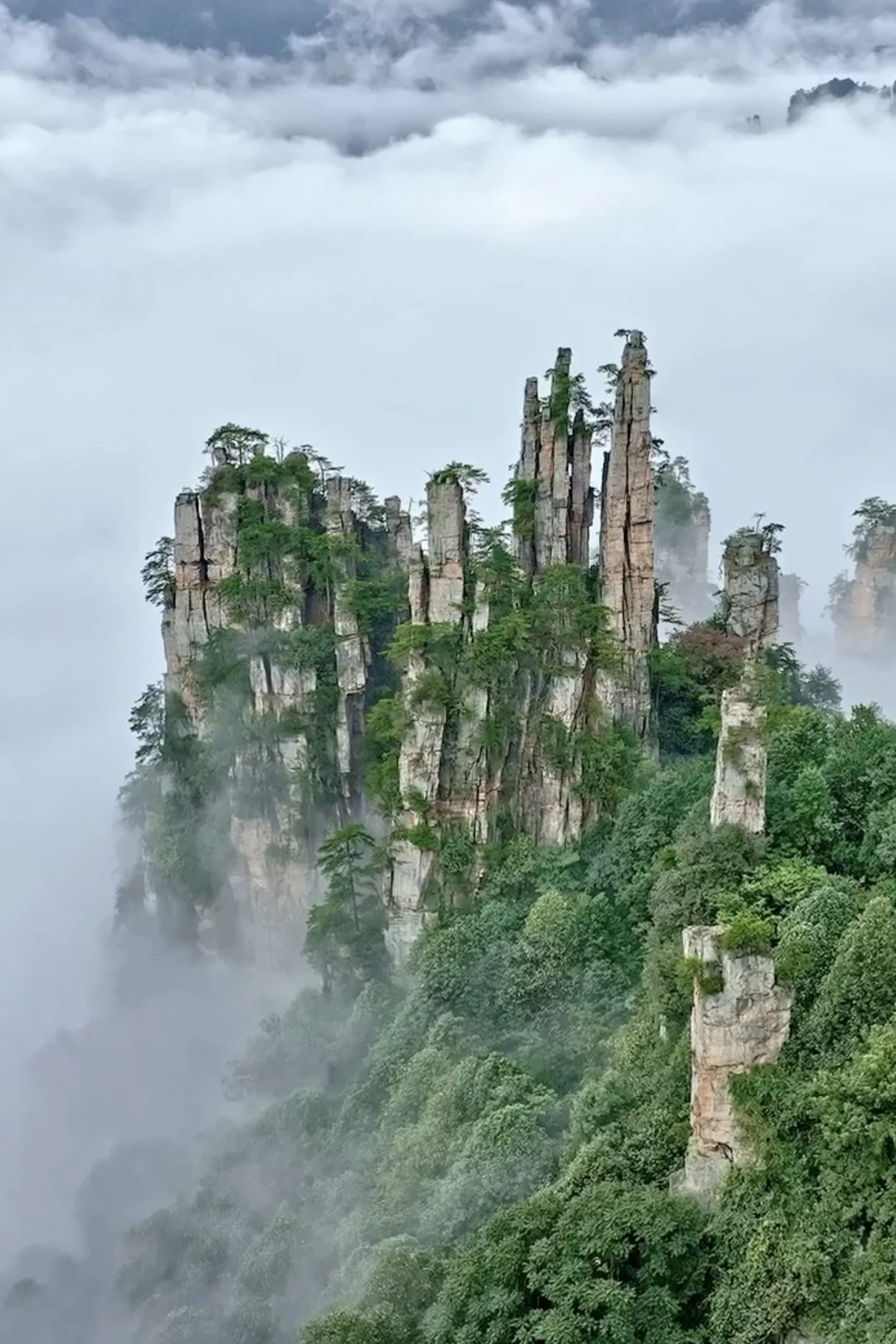 张家界刚回，再也不听小红书乱说了😭