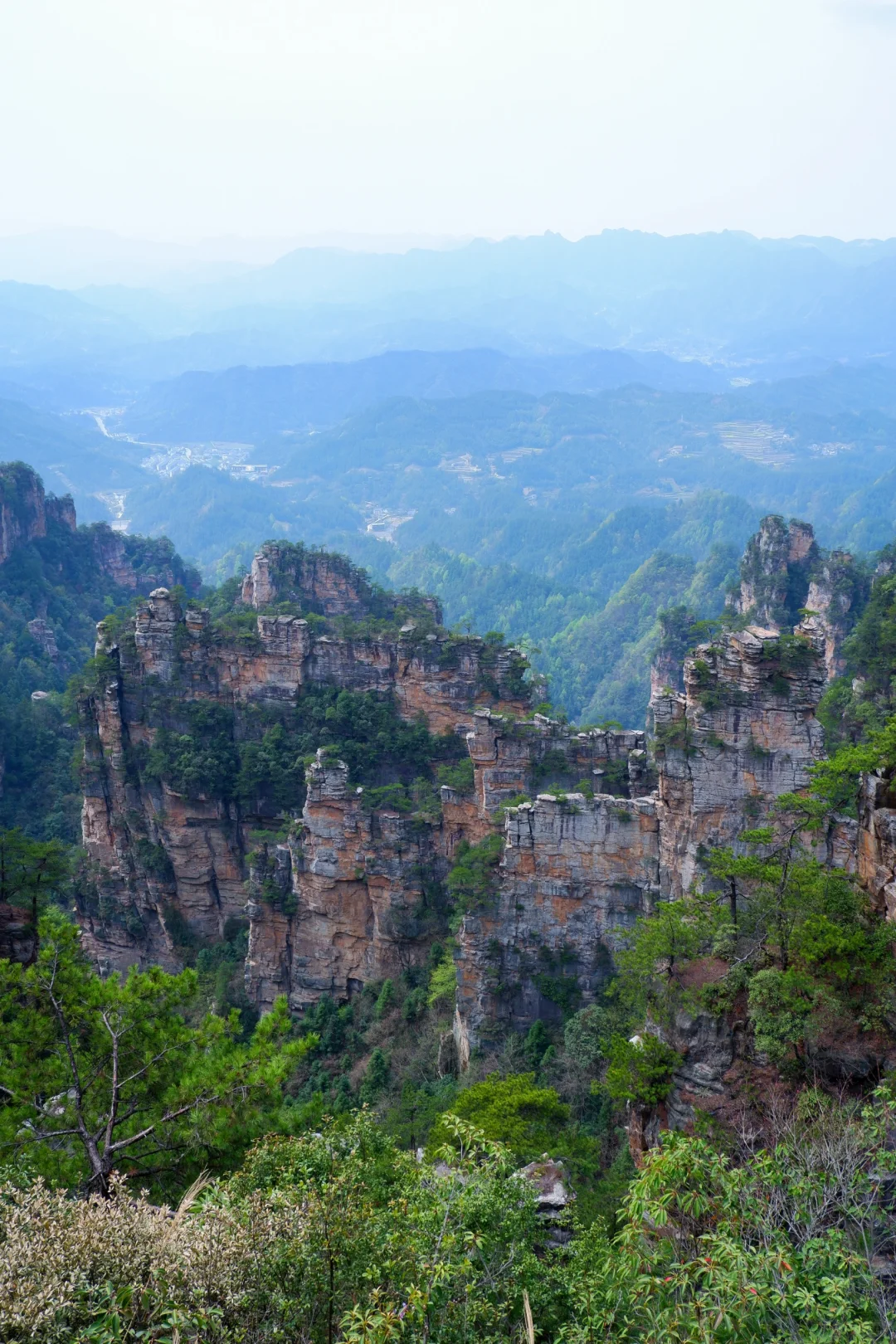 闯入阿凡达的潘多拉星球⛰️