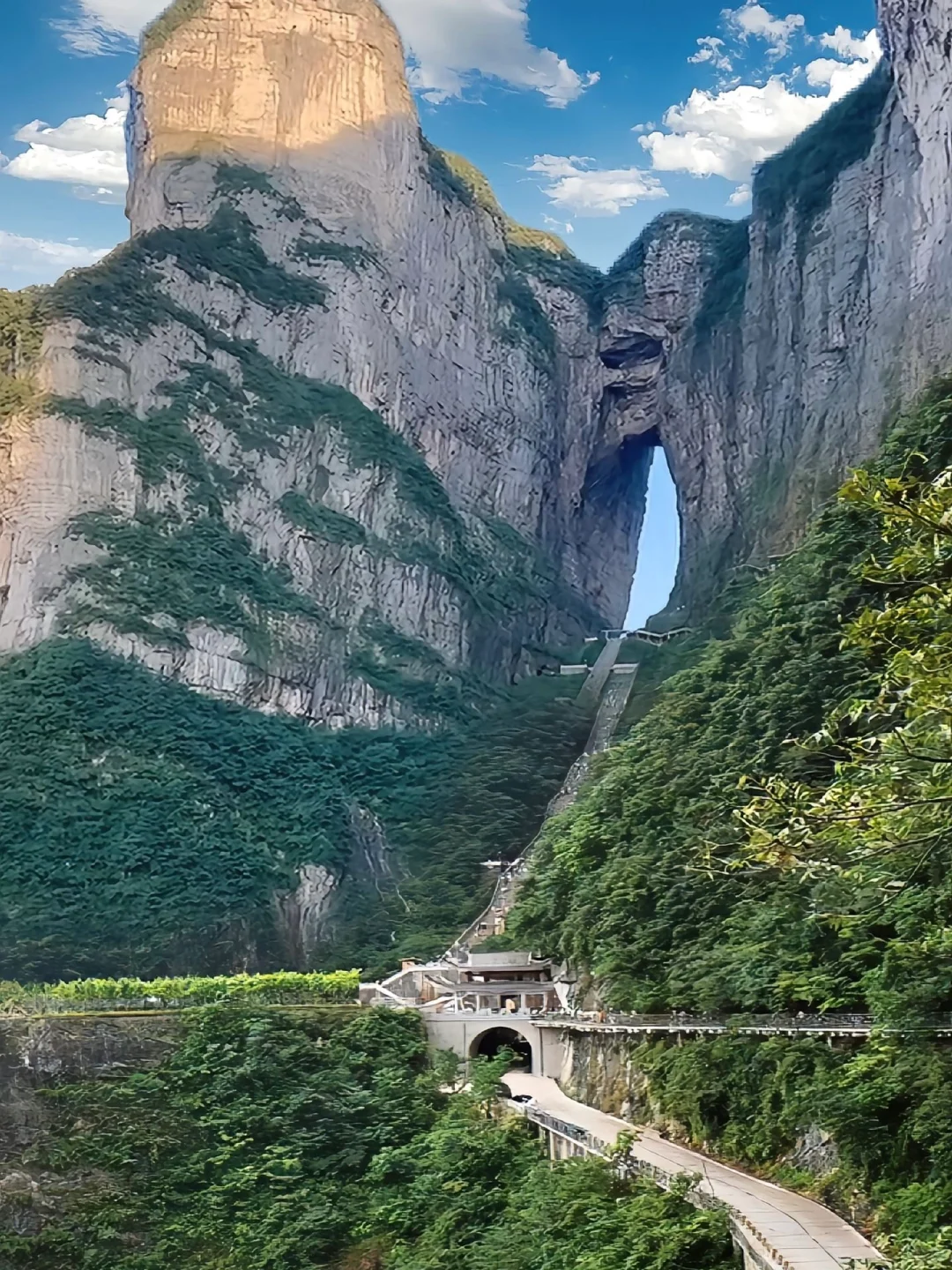 张家界带娃已回，真心提醒下暑假去的宝妈们