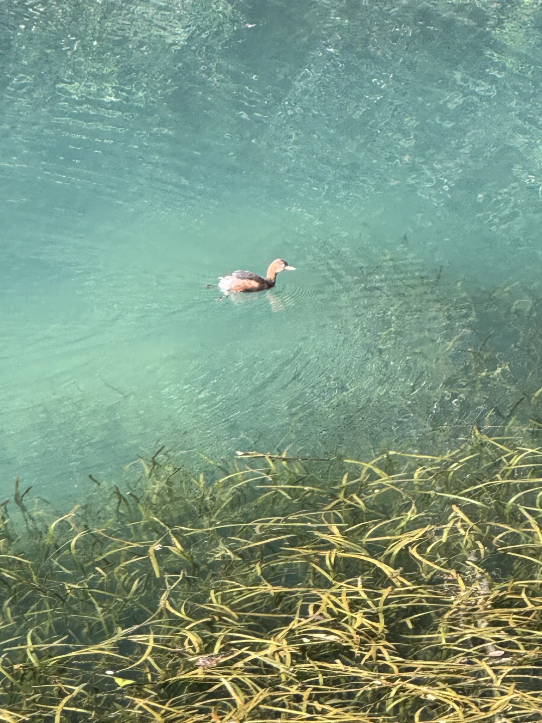 来张家界如何游玩？！