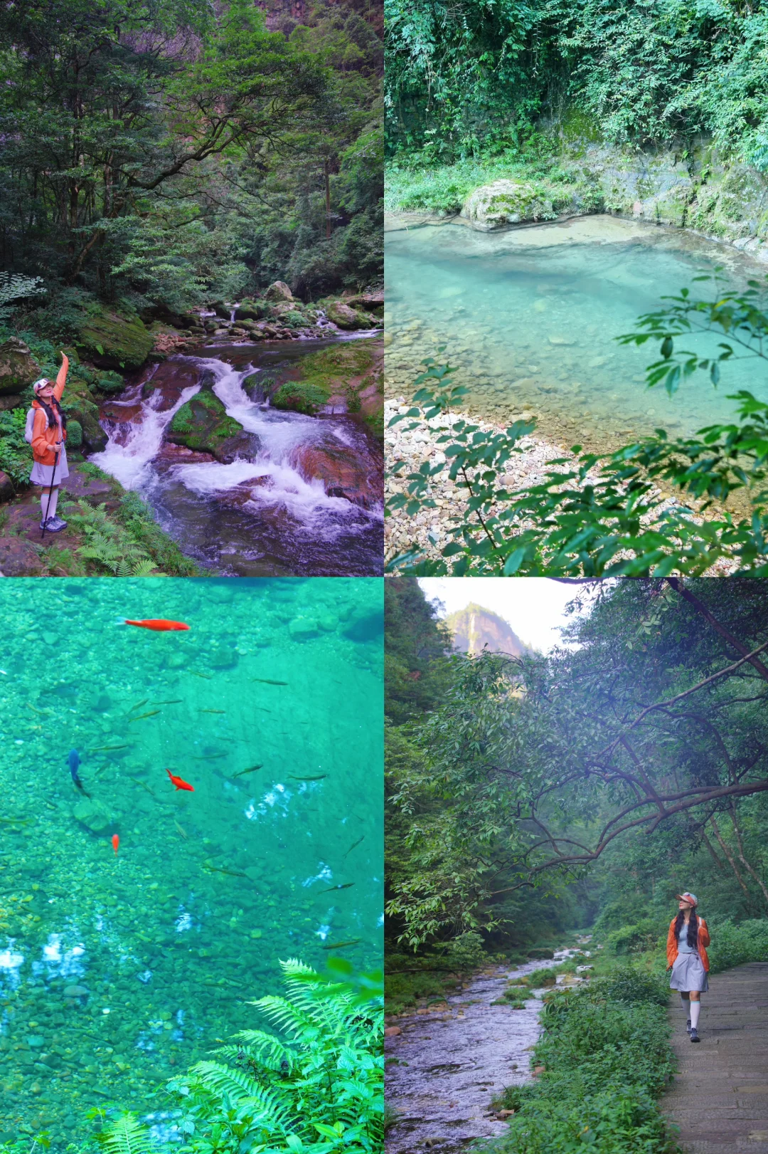 张家界刚回，再也不听小红书乱说了😭