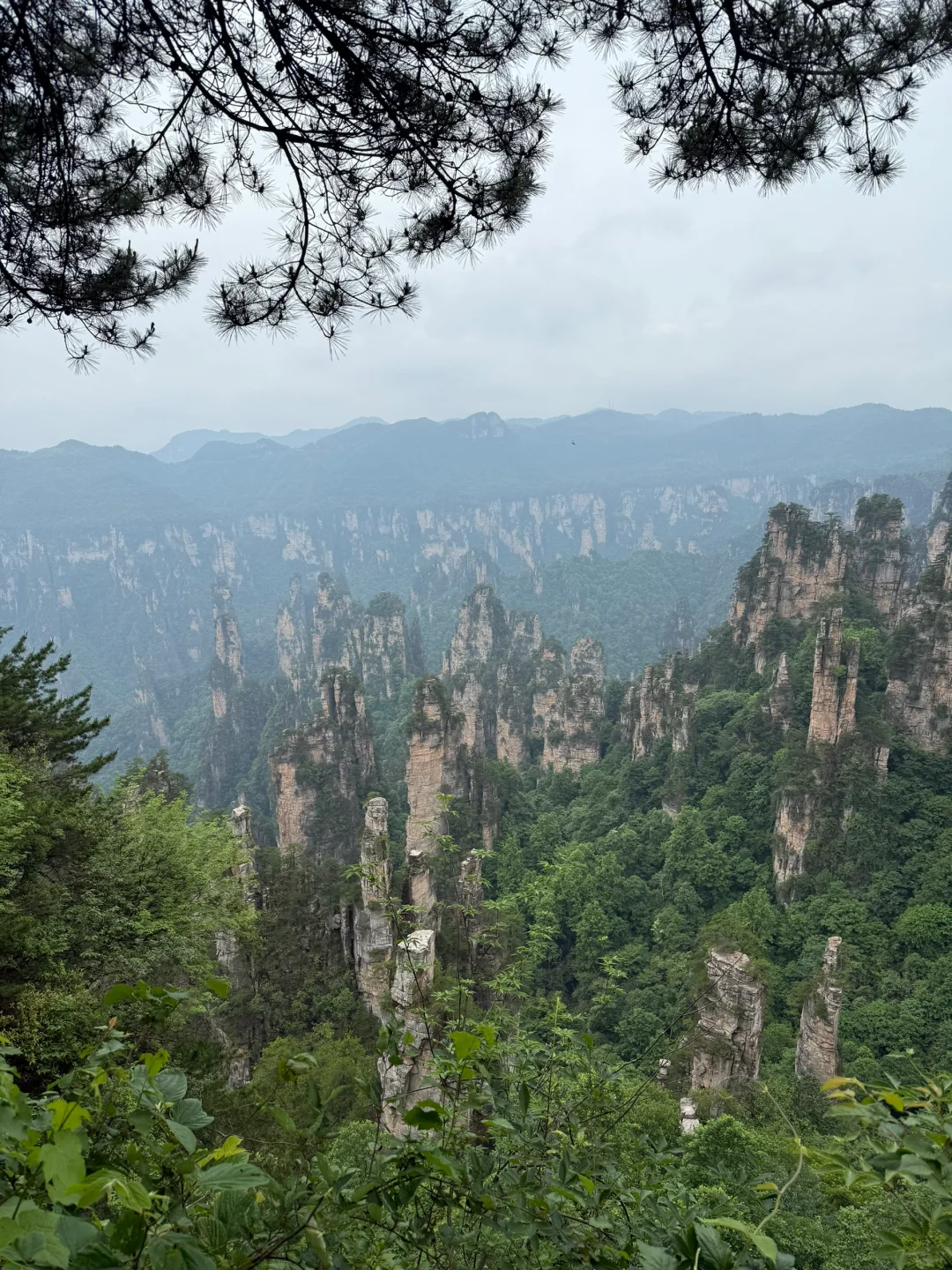 中国张家界国家森林公园～