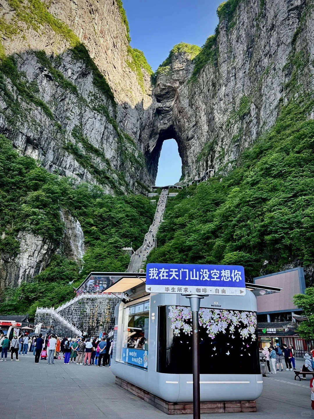 📍 𝐙𝐡𝐚𝐧𝐠 𝐣𝐢𝐚 𝐣𝐢𝐞